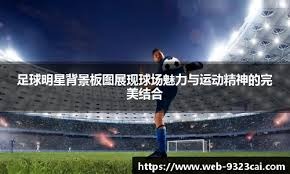 [德甲]第15轮：法兰克福1-3美因茨 集锦